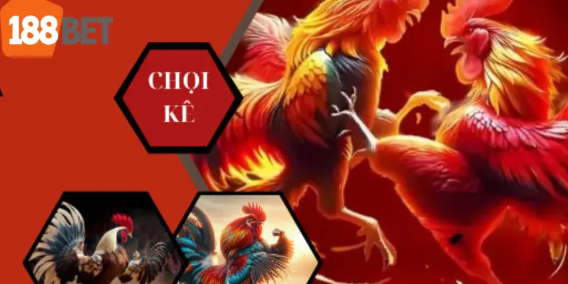 đá gà 188bet